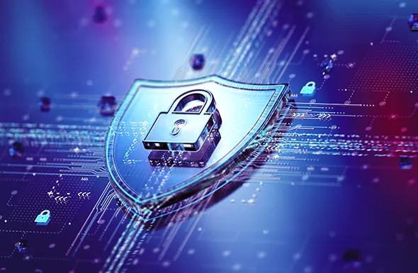Data Breach and Unauthorised Disclosure Investigations